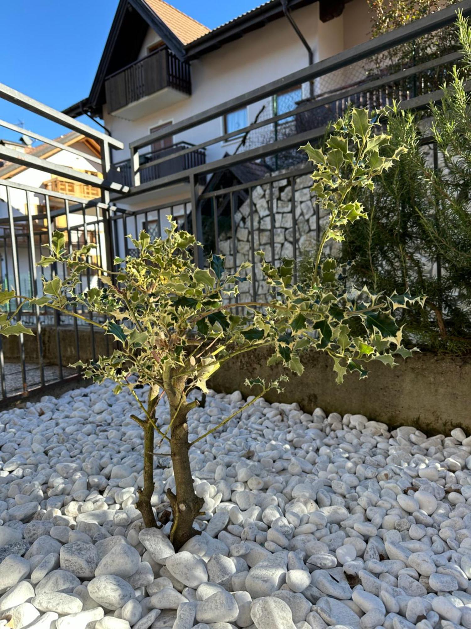 Casa Vacanza La Croseta 特伦托 外观 照片